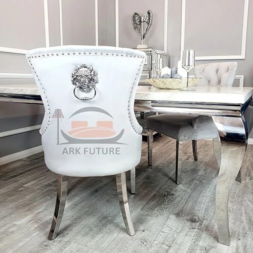 Megan Ring Velvet Dining Chairs, Set of 4 - Lion Knocker Design, Chrome Legs
